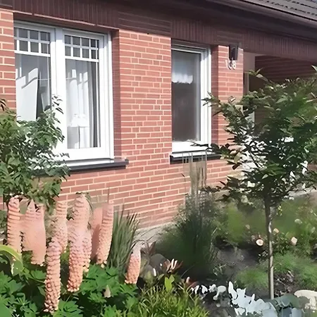 Seepferdchen